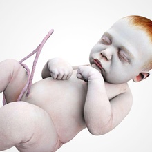 o feto, bebê anatomia corpo osso menino cgtoon personagem criança desenvolvimento embrião feto crescimento humanos interno kid médica modelo lugar grávida ciência silhueta esqueleto útero 3d print model - Mito3D