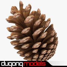 fir cone 3d 3ds christmas conifer decoration dugongmodels flora holiday max model nature ornament pine pinecone plant season spruce tree vray winter xmas 3d print model - Mito3D