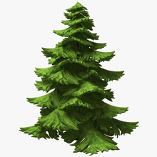 fir tree aelxr cartoon conifer deforestation evergreen foliage forest garden green growth landscape lower lowpoly model nature parking pine plant poly spruce toon 3d print model - Mito3D