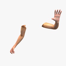 gioco in prima persona le braccia l'anatomia braccio corpo carattere es3dstudios europea alle estremità figura dito per fps mano umana gli arti lopoly più basso maschio uomo modello persone poli rig rpg sim pelle 3d print model - Mito3D