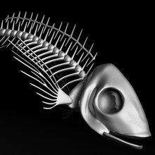 esqueleto del pez aircamp la anatomía animal de playa barco cuerpo hueso carácter costa criaturas muertos pescado fósil humanos modelo océano mar orilla el cráneo natación bajo agua 3d print model - Mito3D