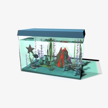 fish tank Tier animation aquarium cartoon geschnitzt Sammlung Kreaturen Fisch jpwood78 Modell Ozean ornament Haustiere pflanze ray rock Meer die Wasserpflanzen Seestern tropical Wasser 3d print model - Mito3D