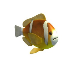 fish v1 de la barrera reef anémona a los animales pescado imprimible lowpoly 3d print model - Mito3D