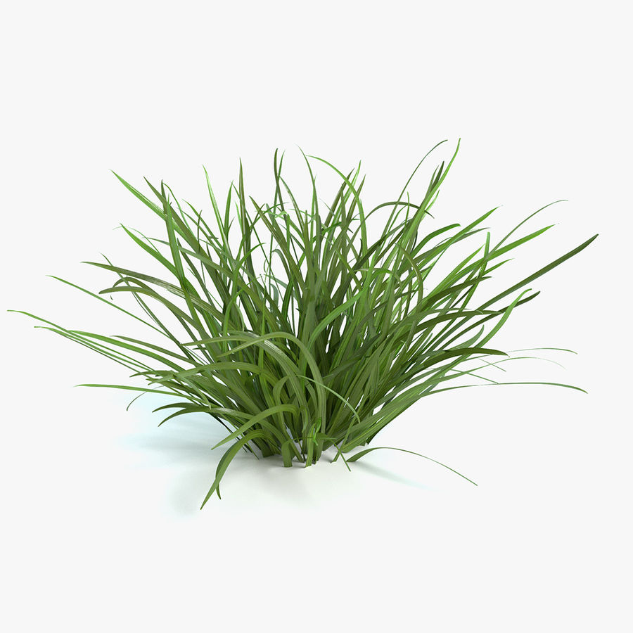 flag grass abramsdesign bushes foliage forest game lake lawn model nature parking plant pond ready real shrubs small time vegetation water 3D print model - Mito3D