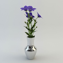 çiçek vazo mimarlık david turner dekor iç model bitki sahne küçük 3d print model - Mito3D