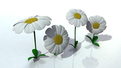 flowers daisy flower model plant pwalsh 3d print model - Mito3D