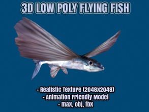 flying fish realistic low poly model exocoetidae animal animation aquatic biology creatures exocoetus film fly gameready lower lowpoly max mesh mustafavangol ocean science sea under water whale zoology 3d print model - Mito3D