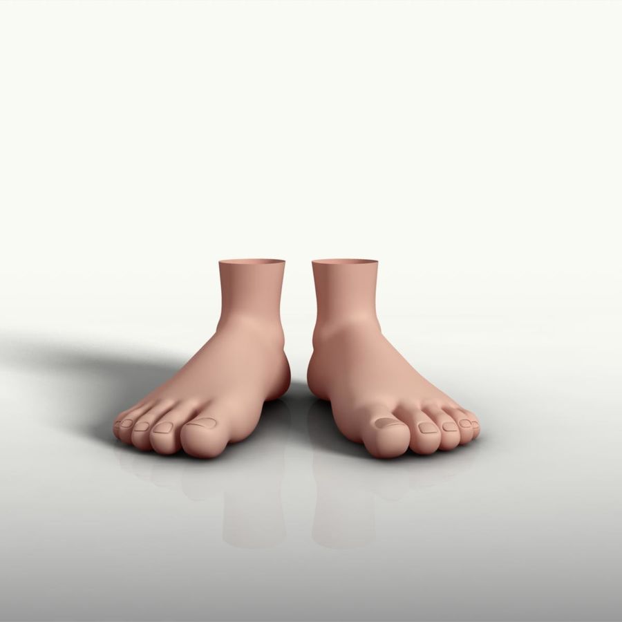 foot anatomy body character extremities female human legs limbs male model shazu 3D print model - Mito3D