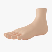 foot anatomy ankle body cartoon character extremities female finger five girl heel human kiviive lady legs limbs model nail parts sole toe toon woman 3d print model - Mito3D