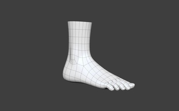 pie la anatomía archii cuerpo carácter las extremidades dedo humanos piernas inferior médica modelo el desnudo poli ciencia 3d print model - Mito3D