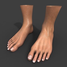 foot 3d 3ds 3v3r anatomy ankle body character female guys heel human legs lower lowpoly male man max model nail poly sole texture toe 3d print model - Mito3D