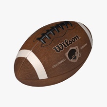football american academy balls championship college competition entertainment field game gridiron kick model outdoor player playing rugby scored sport team tero touchdown vescan victor 3d print model - Mito3D