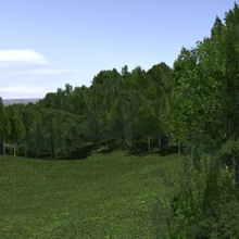 forest lined grassy terrain architecture bushes environments field forrest garden grass green land landscape leaf lines lots meadow nature outdoor parking pastures plant plot renderpig scene tree treeline wood yard 3d print model - Mito3D