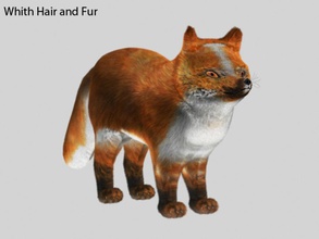 la fox animal canine chien fuchs les mammifères de modèle nik23648 animaux compagnie en jouant peluche roja jouet wolf zorra 3d print model - Mito3D