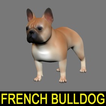 bulldog francês animais canino dos desenhos animados o personagem bonito cão frenchie jogo leo3dmodels modelo monstro de estimação pug pup filhote cachorro terrier textura toon brinquedo 3d print model - Mito3D