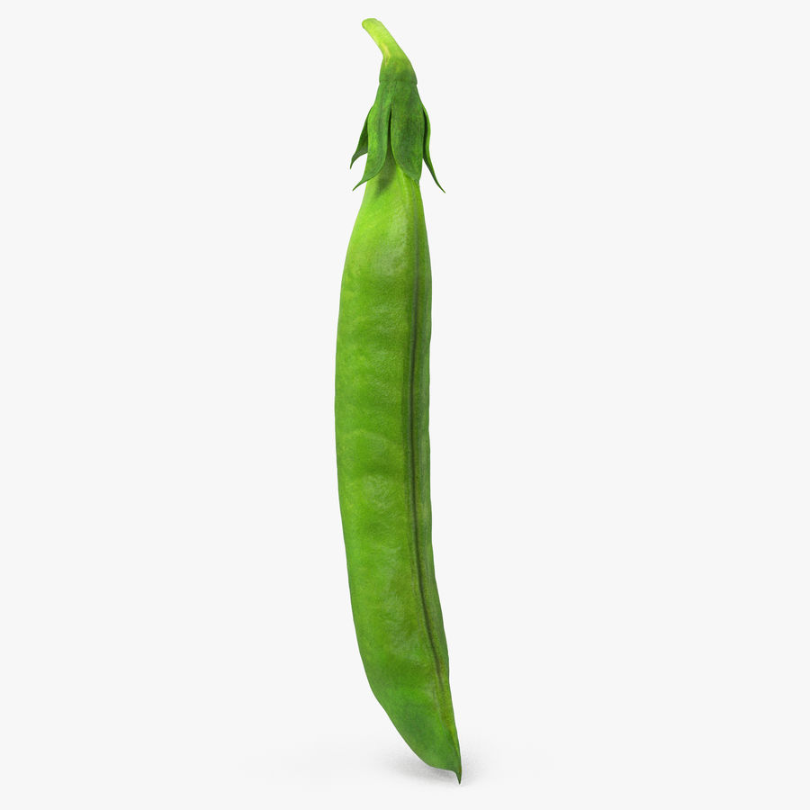 frische pea pod geschlossen 3d 3d-molier Bohnen Essen frisch grün gesund Zutaten international legumen Modell öffnen pflanze raw realistisch sind reif Rudern scan Samen snack süß Gemüse Vegetarische vray 3D print model - Mito3D