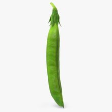 fresh pea pod closed 3d molier beans food green healthy ingredients international legume model open plant raw realistic ripe rowing scan seed snack sweet vegetable vegetarian vray 3d print model - Mito3D
