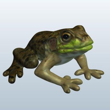 kurbağa v1 hayvanlar yazdırılabilir lowpoly 3d print model - Mito3D