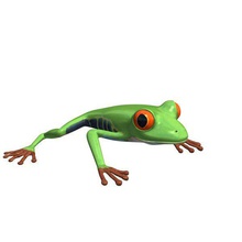 frog v1 red eyed tree animals printable lowpoly 3d print model - Mito3D