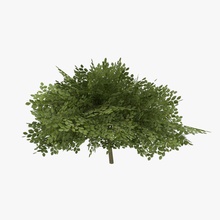 juego listo arbusto ocho el cepillado matorral los arbustos monte bajo entornos la flora paisaje inferior modelo de planta poli pequeño symmetria3d vegetación 3d print model - Mito3D