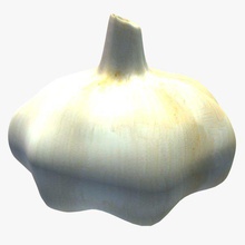 garlic food printable lowpoly 3d print model - Mito3D