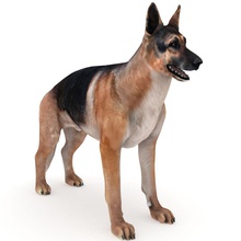 german shepherd animal canine dog kalakaar model service work 3d print model - Mito3D