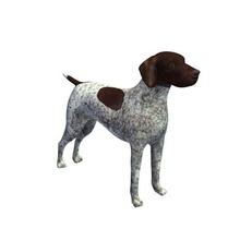 german shorthaired pointer v1 animals printable lowpoly 3d print model - Mito3D