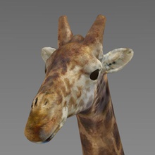 giraffe africa animal fontrap 3d print model - Mito3D