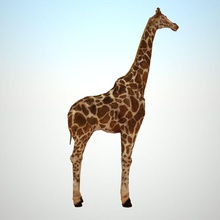 zürafa 3d hayvan fixcode84 lowpolygon max model gerçekçi V-ray'in 3d print model - Mito3D
