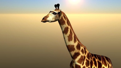 giraffe 3d afrikanischen Tier Esel donkeystudio lightwave Modell savanah studios 3d print model - Mito3D
