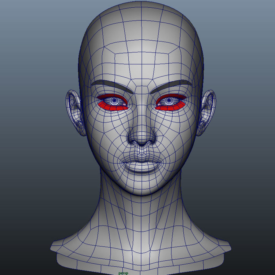 chica de la cabeza 3d anatomía cuerpo dibujos animados carácter cómic femenino niña humanos señora maya modelo personas wat2k mujer 3D print model - Mito3D