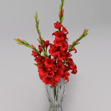 gladiolus bouquet vase 2in1studio arrangment bedroom contemporary country design dining flower garden green interior live lobby model plant reception space 3d print model - Mito3D