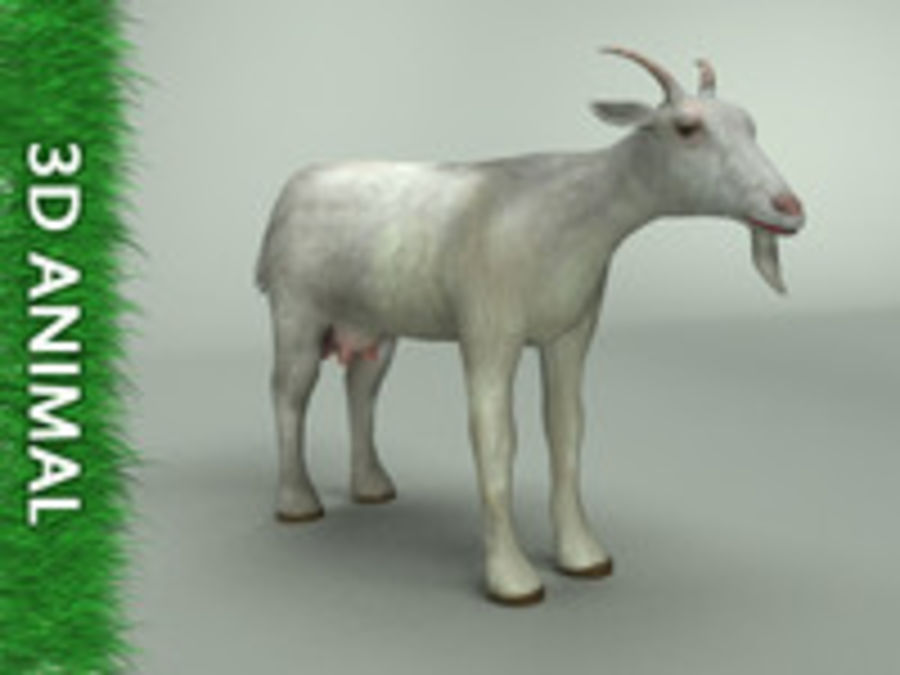 la chèvre 3d am animal arqué dall' le cerf ferme rapide les aliments jeu de l'herbe bas lowpoly viande lait modèle nanny poly ram en temps réel rendu moutons 3D print model - Mito3D