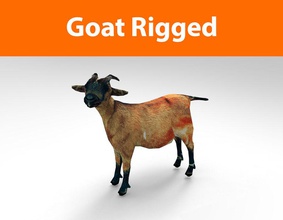 goat rigged 1 animal buck cabra capra game hair lower model mouch001 mountain pets poly ready rig sheep skin 3d print model - Mito3D