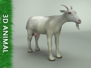 la chèvre 3d am animal arqué dall' le cerf ferme rapide les aliments jeu de l'herbe bas lowpoly viande lait modèle nanny poly ram en temps réel rendu moutons 3d print model - Mito3D
