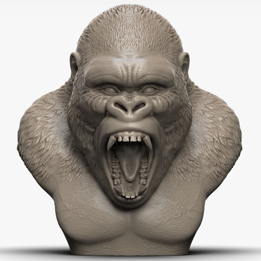 gorilla head angry 3d animal ape land mammal model modeler3dcom modelnature primate 3D print model - Mito3D