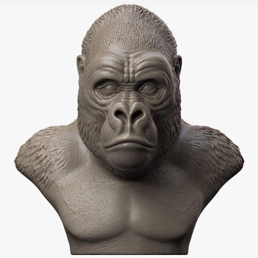 gorilla-Kopf-Skulptur 3d Tier apegorilla gorilla Kopf land säugetier Modell modeler3dcom Natur zu den Primaten Skulptur 3D print model - Mito3D