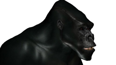 gorilla animal black davesdumbstuff high model poly primate unwrapped uvs 3d print model - Mito3D