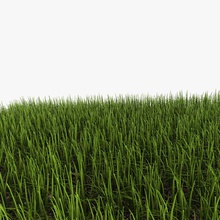 grass abramsdesign garden green ground land landscape lawn model plant realistic small terrain 3d print model - Mito3D