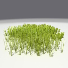 de l'herbe le couvercle jardin vert sol karynatrychyk des terres la pelouse modèle nature plein air parking l'usine petite terrain végétation 3d print model - Mito3D