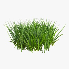 grass 2 3d molier 3ds agricultur aircraft airplane cover field floor forest garden green ground international land lawn model nature outdoor plane plant plantation realistic road soil terrain vray 3d print model - Mito3D