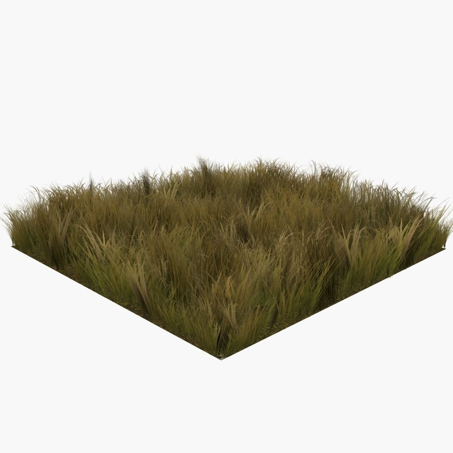 grass faded lowpoly game ready 3ds architecture cover dry elements field flower garden green ground lawn lower model nature old outdoor parc plant poly realistic res solvod terrain vegetation 3D print model - Mito3D