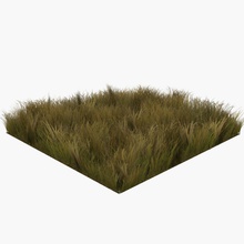 grass faded lowpoly game ready 3ds architecture cover dry elements field flower garden green ground lawn lower model nature old outdoor parc plant poly realistic res solvod terrain vegetation 3d print model - Mito3D