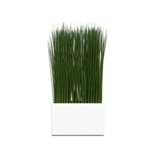 la hierba florero de arquitectura los arbustos copa decoración diseño flor verde casa en interiores interior modelo naturaleza planta olla pequeño suelo árbol wivoca 3d print model - Mito3D