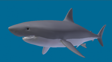 great white shark shark white great animals