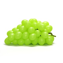 uvas verdes amila el botánico de beber alimentos la fruta gayan georgi uva verde salud mermelada jugo modelo nutrición rojo vid vinagre vintage woody 3d print model - Mito3D