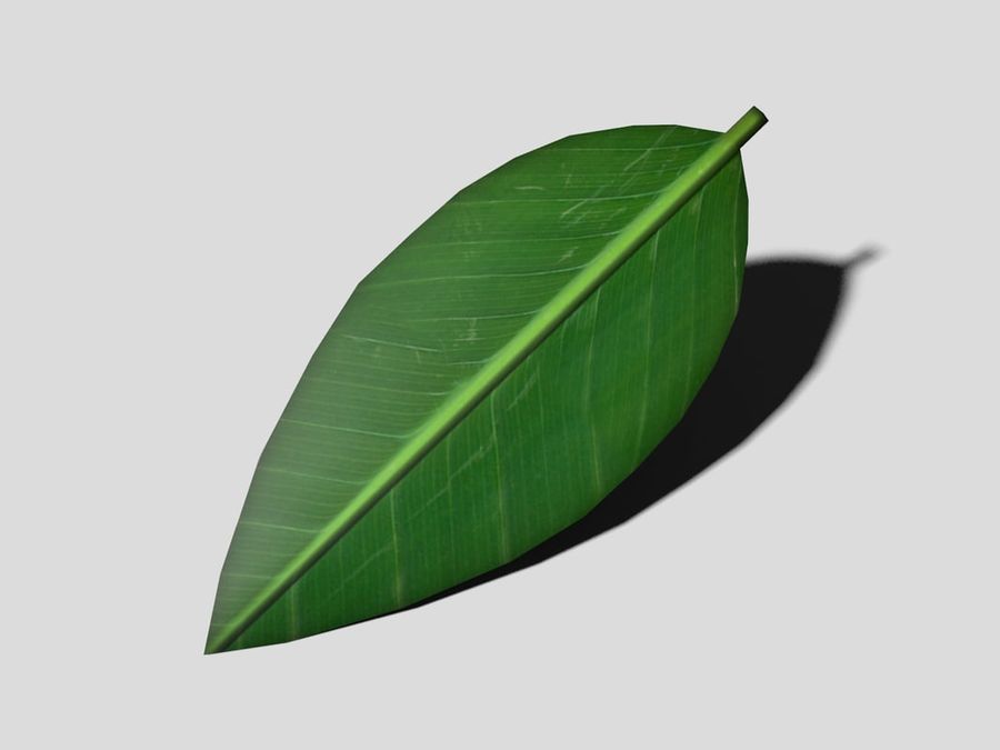 feuille verte de l'automne essentials jeu la géométrie vert modèle l'usine polygone forme polygonale d'arbre en arbre 3D print model - Mito3D