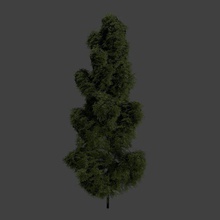 green pine tree plants 3d print model - Mito3D