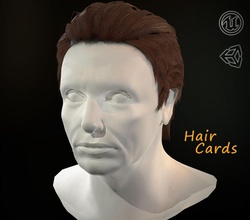 hair cards man's pbr 3d anatomy body card cg character game guys head human lower lowpoly male man model nice people person poly qualitative real s studiox time 3d print model - Mito3D
