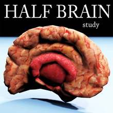 metade do cérebro de textura anatomia biologia o corpo cérebros cerebelo personagem cabo alimentação cinza a cabeça humanos interno questão médica modelo nervo nervoso órgãos ciência espinhal sinapse sistema unjosnav 3d print model - Mito3D
